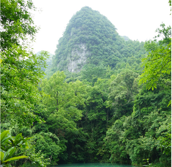 賞華夏大地，游多彩貴州-－2021年廣東博皓快樂(lè)行-2